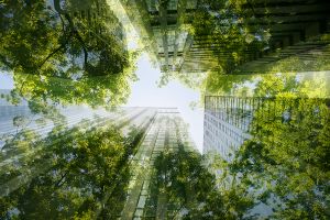 Looking up toward the top of skyscraper buildings with an images of trees superimposed over them.