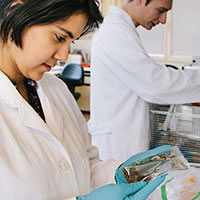 Clinical Laboratory Scientist Training