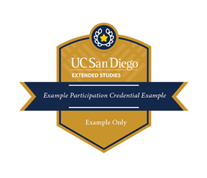 Example-Participation-Badge-(2).PNG