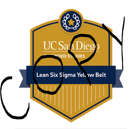 YellowBelt-Badge.PNG