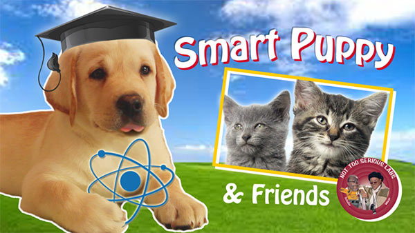 smart-puppy-graphic.jpg