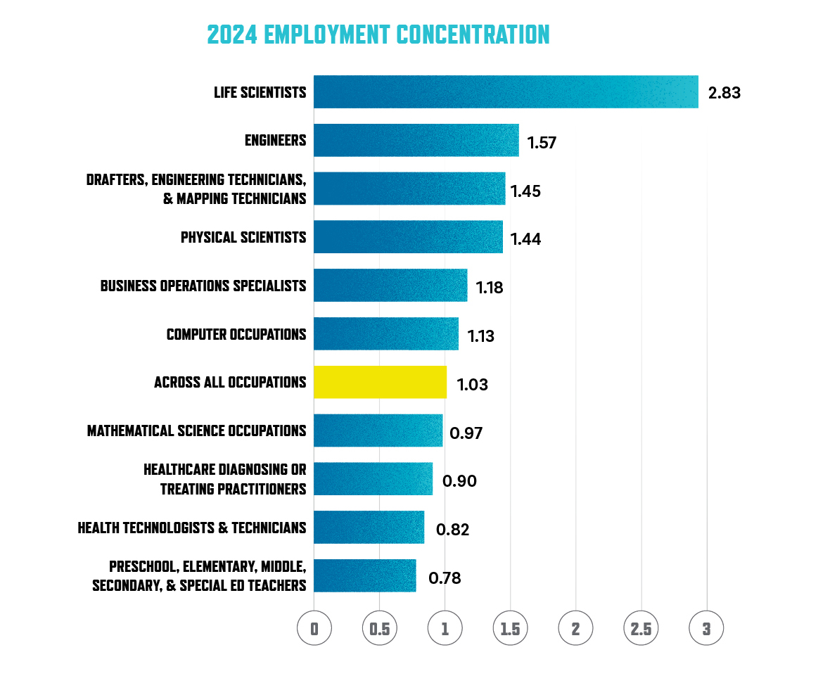 2024 Employment Concentration chart