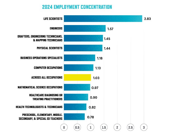 2024 Employment Concentration chart