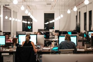 A group of employees sitting at their computer desks in an open work space