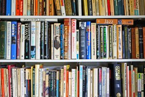 Books lined up on a bookshelf in a bookstore or library